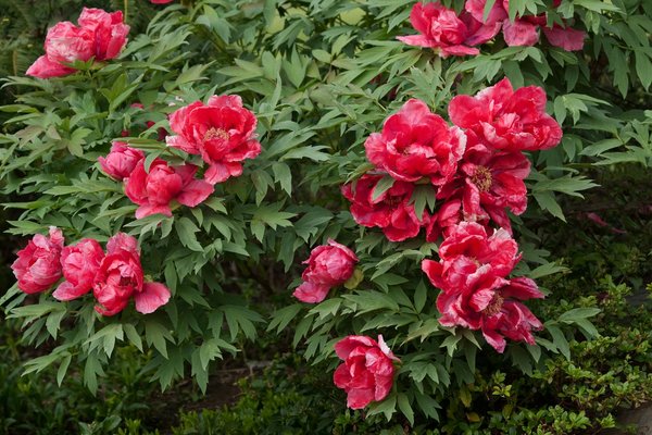 Navigating uk drone regulations in 2023: the definitive handbook for aerial photography enthusiasts